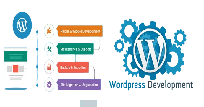 webrex solutions/ wordpress/web development