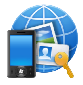 webrex solutions/Web portal development icon